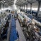 Pipe manufacturer Poliurs plans to increse its production volume , pipe-manufacturer-poliurs-plans-to-increse-its-pro-fg-2.jpg